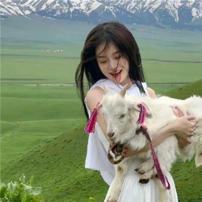 小虎还乡