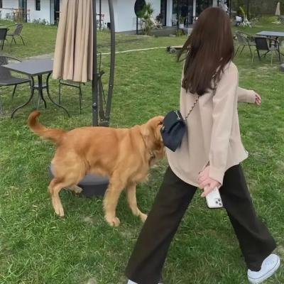 水牛女孩